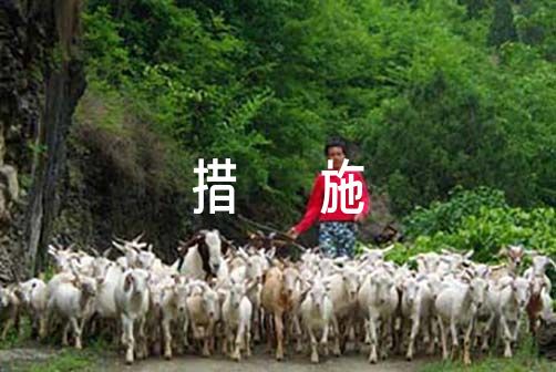业余篮球爱好者在哪里可以找到表演赛资源_2